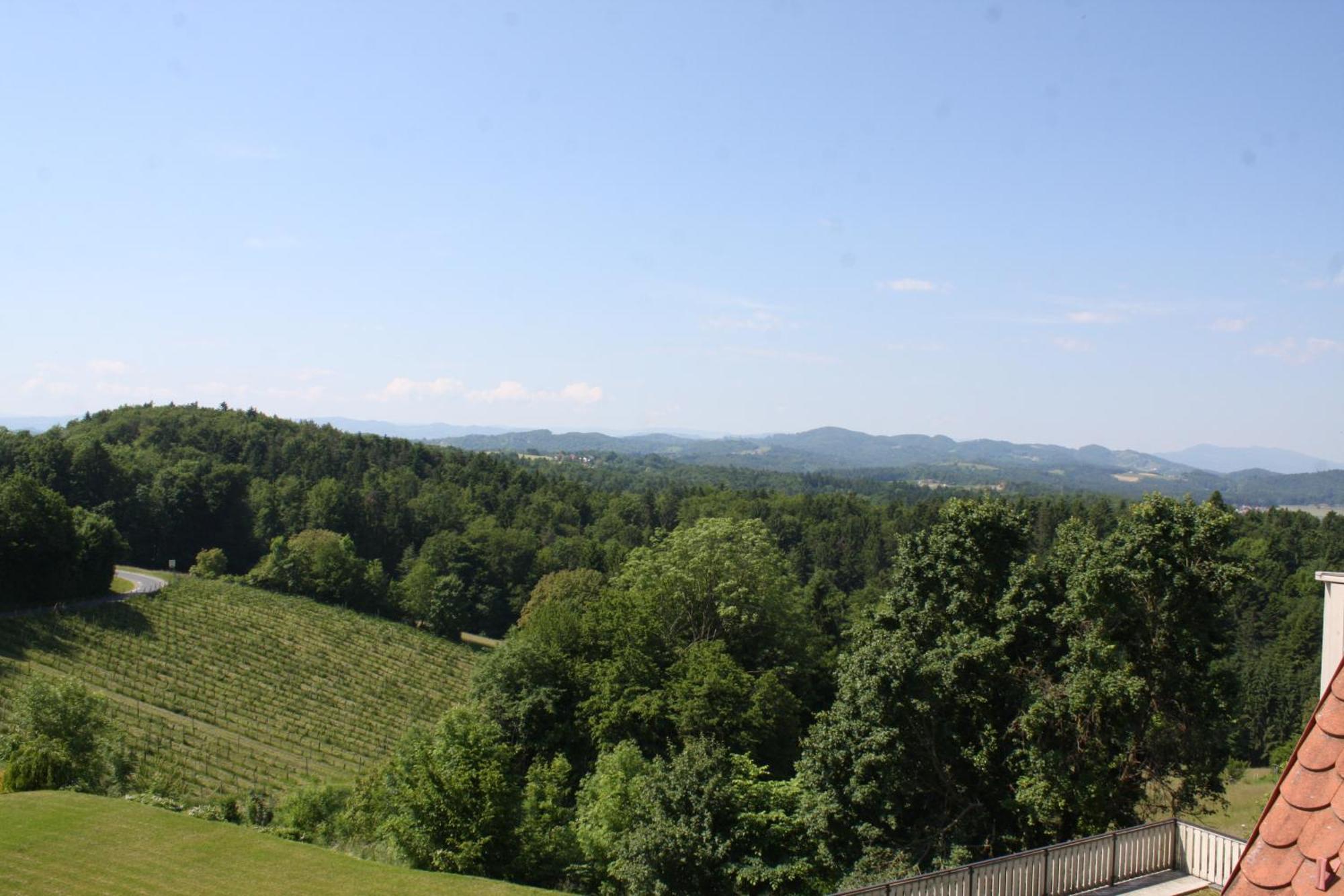 Hotel Garni Am Seggauberg ไลบ์นิทซ์ ภายนอก รูปภาพ